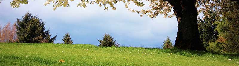 Udkørsel Med Blomster Til Jyderup Kirkegårde